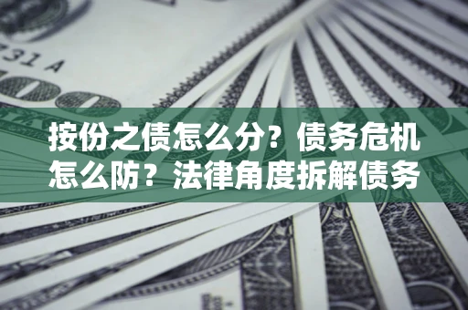 北京按份之债怎么分？债务危机怎么防？法律角度拆解债务分配与风险自保指南