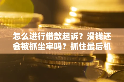 北京怎么进行借款起诉？没钱还会被抓坐牢吗？抓住最后机会！