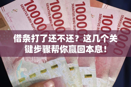 北京借条打了还不还？这几个关键步骤帮你赢回本息！