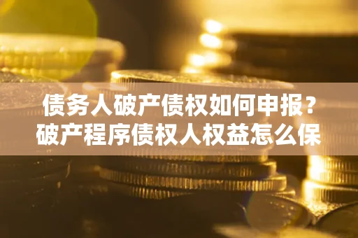 北京债务人破产债权如何申报？破产程序债权人权益怎么保障？